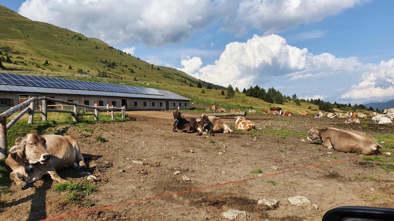 Marmot Apartment Димаро Екстериор снимка