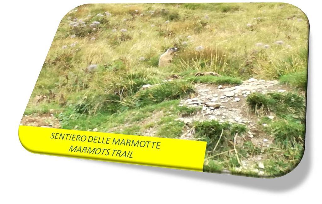Marmot Apartment Димаро Екстериор снимка